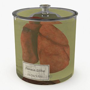 Human Lungs in Glass Jar