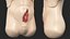 Injured Firstaid Mannequin Body
