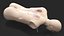Injured Firstaid Mannequin Body