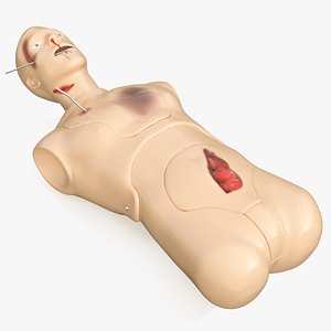 injured firstaid mannequin body model