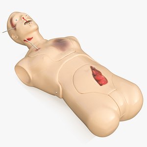 Injured Firstaid Mannequin Body
