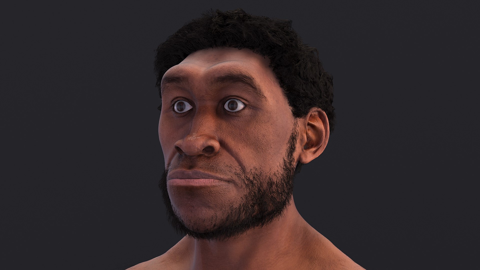 Homo Erectus Fur 3D model - TurboSquid 2169427