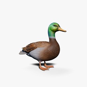 Duck 3d Model