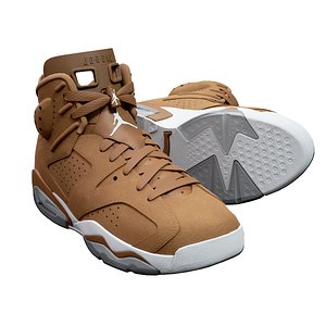 Air Jordan 6-retro sneaker 3 model