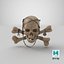 Pirate Skull_PBR