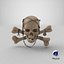 Pirate Skull_PBR