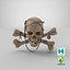 Pirate Skull_PBR