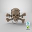 Pirate Skull_PBR