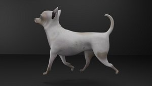dog animation