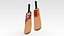 Cricket Bat