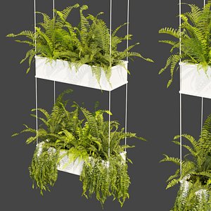 Collection plant vol 363 - fern - leaf - hanging - ampelous - 3dmodel - 3dmax - cinema 4d