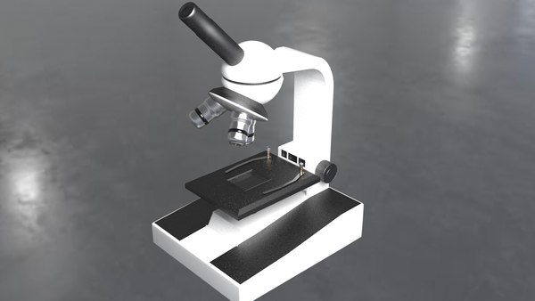 Polys model - TurboSquid 1322747