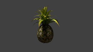 Pineapple