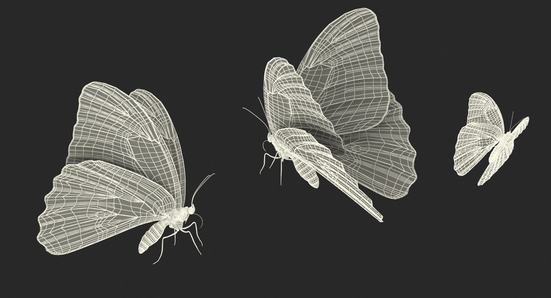 3D model peleides blue morpho butterfly https://p.turbosquid.com/ts-thumb/DY/4qOtwL/3qoA4HD3/peleidesbluemorphobutterflywithfurmb3dmodel015/jpg/1497602272/1920x1080/fit_q87/c7339b93167606d7c01b2779585bfb2d54498c57/peleidesbluemorphobutterflywithfurmb3dmodel015.jpg