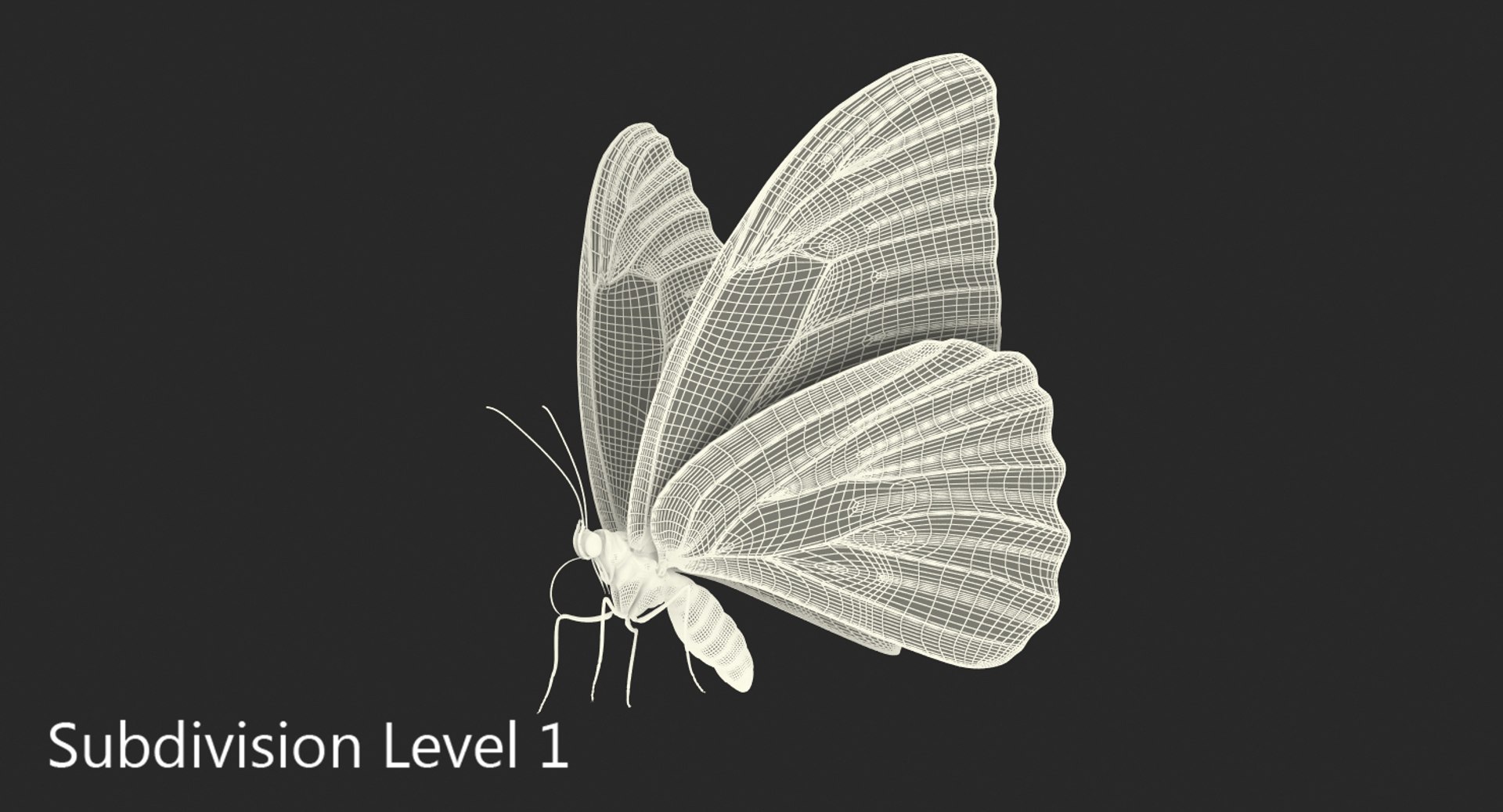 3D model peleides blue morpho butterfly https://p.turbosquid.com/ts-thumb/DY/4qOtwL/VZlpwrUa/peleidesbluemorphobutterflywithfurmb3dmodel010/jpg/1497602271/1920x1080/fit_q87/cee29ed82dc8b6eb1e3995599b67ed95d11e2e20/peleidesbluemorphobutterflywithfurmb3dmodel010.jpg