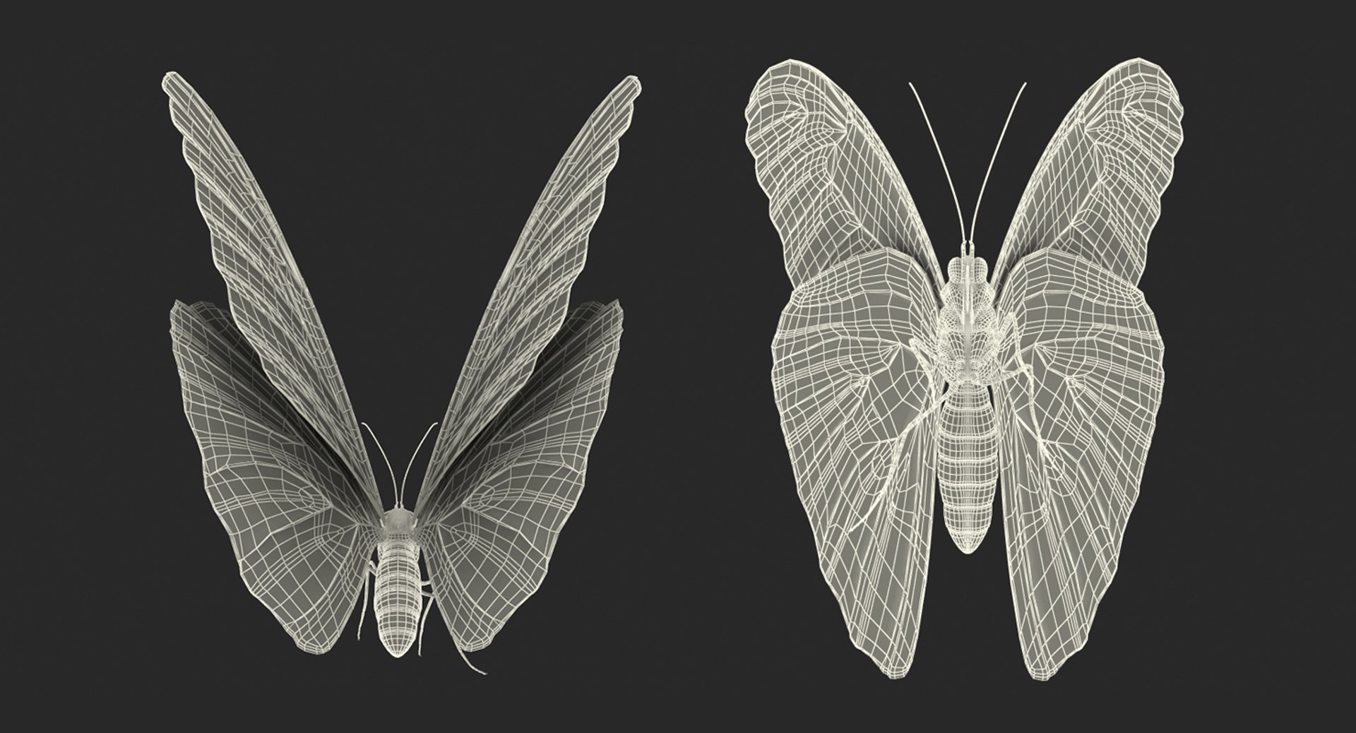 3D model peleides blue morpho butterfly https://p.turbosquid.com/ts-thumb/DY/4qOtwL/XNzDvD6s/peleidesbluemorphobutterflywithfurmb3dmodel016/jpg/1497602272/1920x1080/fit_q87/65920d534f38236e8d0ad47fd6b00b7b71bdc106/peleidesbluemorphobutterflywithfurmb3dmodel016.jpg