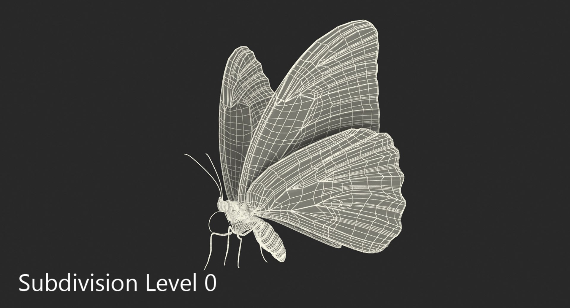 3D model peleides blue morpho butterfly https://p.turbosquid.com/ts-thumb/DY/4qOtwL/b5T9RTGN/peleidesbluemorphobutterflywithfurmb3dmodel009/jpg/1497602271/1920x1080/fit_q87/7c1f8a9da03f24009b9a0923a9e6638dfda45564/peleidesbluemorphobutterflywithfurmb3dmodel009.jpg