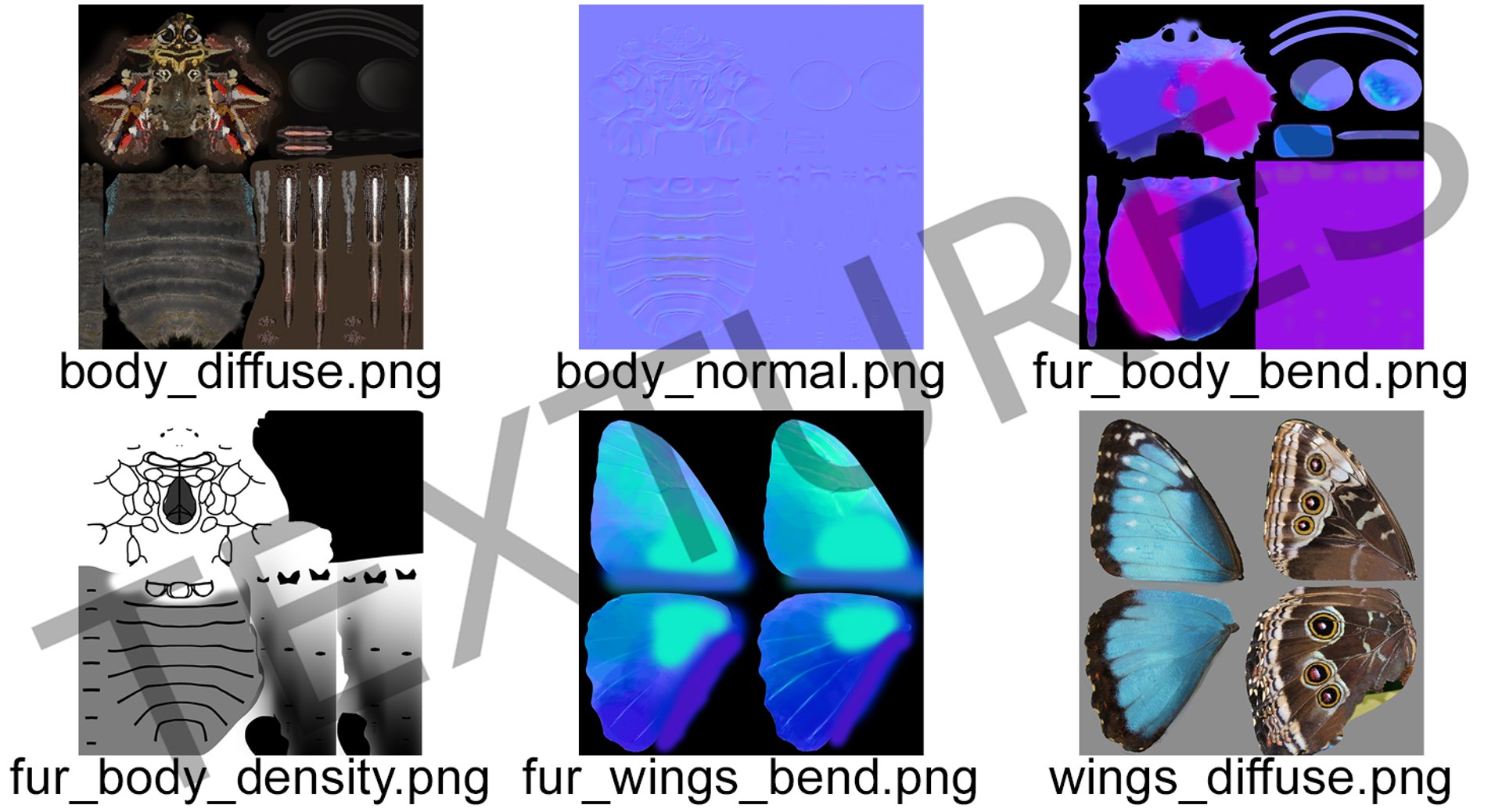 3D model peleides blue morpho butterfly https://p.turbosquid.com/ts-thumb/DY/4qOtwL/pbuyy9kW/peleidesbluemorphobutterflywithfurmb3dmodel012/jpg/1497602272/1920x1080/fit_q87/7e7e4d97b9e3c38cf52423424766f0558a68b292/peleidesbluemorphobutterflywithfurmb3dmodel012.jpg