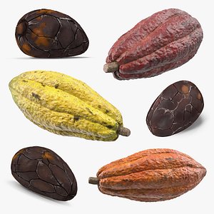 Cacao Fruits and Beans Collection