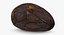cacao fruits beans 3D