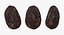 cacao fruits beans 3D