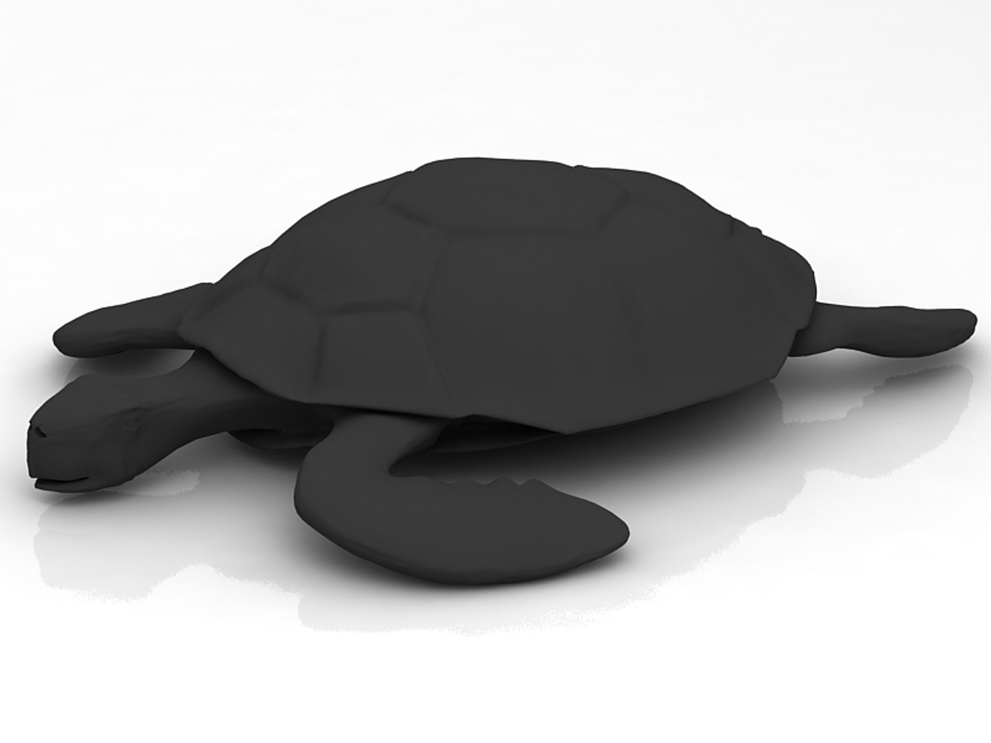 Loggerhead Sea Turtle 3D - TurboSquid 1759382