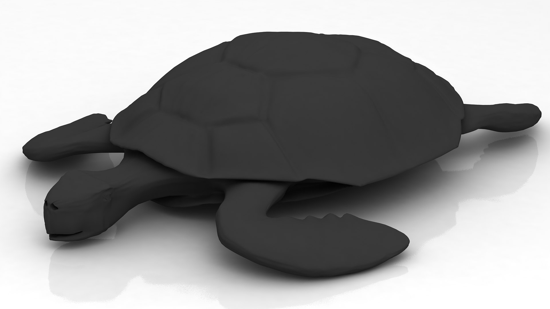 Loggerhead Sea Turtle 3D - TurboSquid 1759382