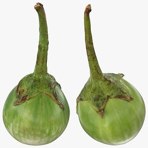 Round Green Eggplant Whole Collection