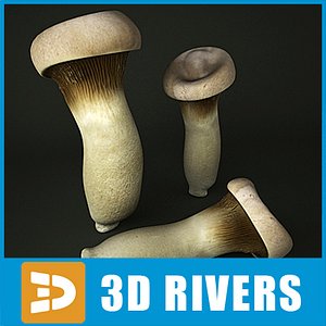 King Oyster Mushroom by 3DRivers