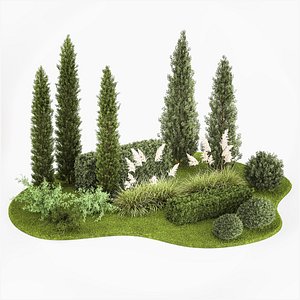 Garden of thuja and cypress trees with pampas grass bushes 1152