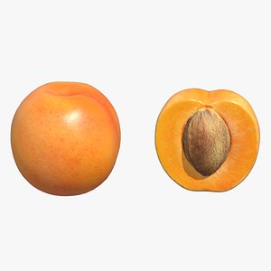 Apricot Low Poly 3D