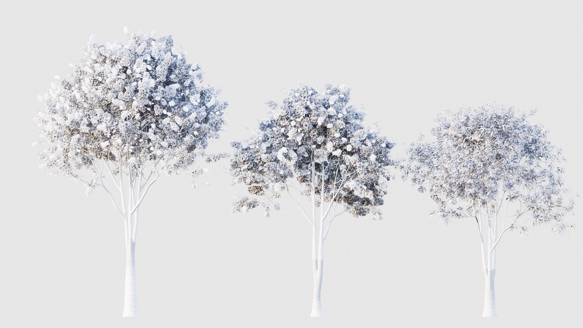 crape myrtle 3D model https://p.turbosquid.com/ts-thumb/DY/eG9tuN/sa/crapemyrtle5/jpg/1651047262/1920x1080/fit_q87/c540517ec5f1a03003831d45f217c8a67a64a74a/crapemyrtle5.jpg
