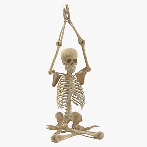3D Real Human Female Skeleton Pose 114(1)