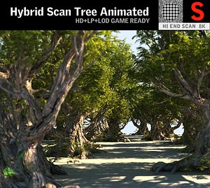 Acacia Tree Animated