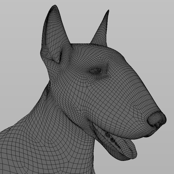 3d extensive dog model