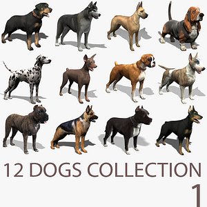 3d extensive dog model