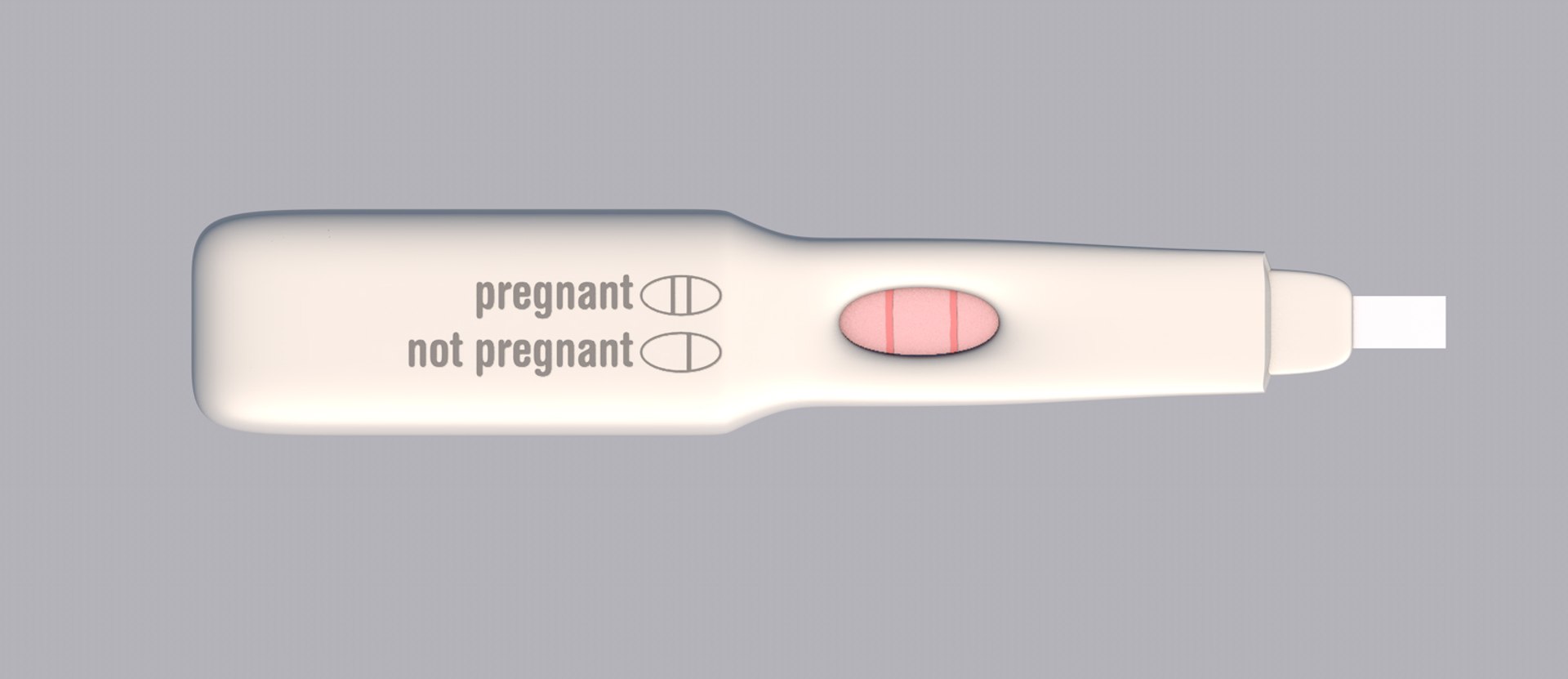 3D pregnancy test https://p.turbosquid.com/ts-thumb/DZ/NSD8U0/9xq1N8vT/p/jpg/1559639360/1920x1080/fit_q87/d8ae720ce6c3b43d446938118695caa8d7e8aafa/p.jpg