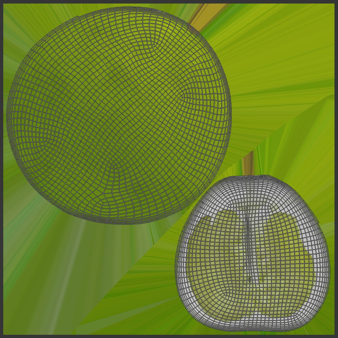 citrus fruit x6 package model https://p.turbosquid.com/ts-thumb/DZ/UXY2Ok/dH4UK8MH/uv2/png/1558121222/1920x1080/fit_q87/6e38e34beb53de452bf3ca797629e03bc056e034/uv2.jpg