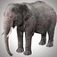 Aparejo de elefante asiático