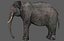 Aparejo de elefante asiático