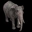 Aparejo de elefante asiático