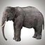 Aparejo de elefante asiático