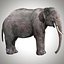 Aparejo de elefante asiático