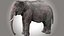 Aparejo de elefante asiático