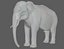 Aparejo de elefante asiático