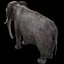 Aparejo de elefante asiático