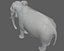 Aparejo de elefante asiático