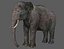 Aparejo de elefante asiático