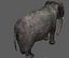 Aparejo de elefante asiático