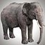 Aparejo de elefante asiático